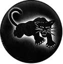 black panther party pin