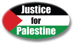 justice for palestine button